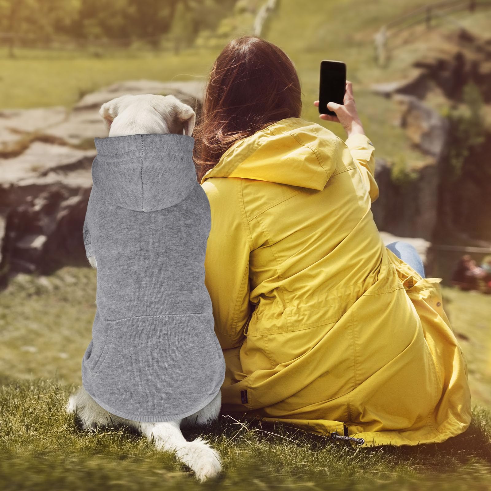 QDYU chaqueta gris para perros con bolsillo práctico: ideal para golosinas en paseos.