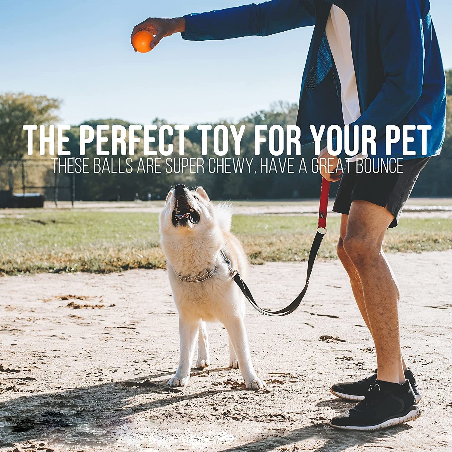 Qesonoo pelota-perro-durabilidad-exterior, resiste masticación y juegos en agua.