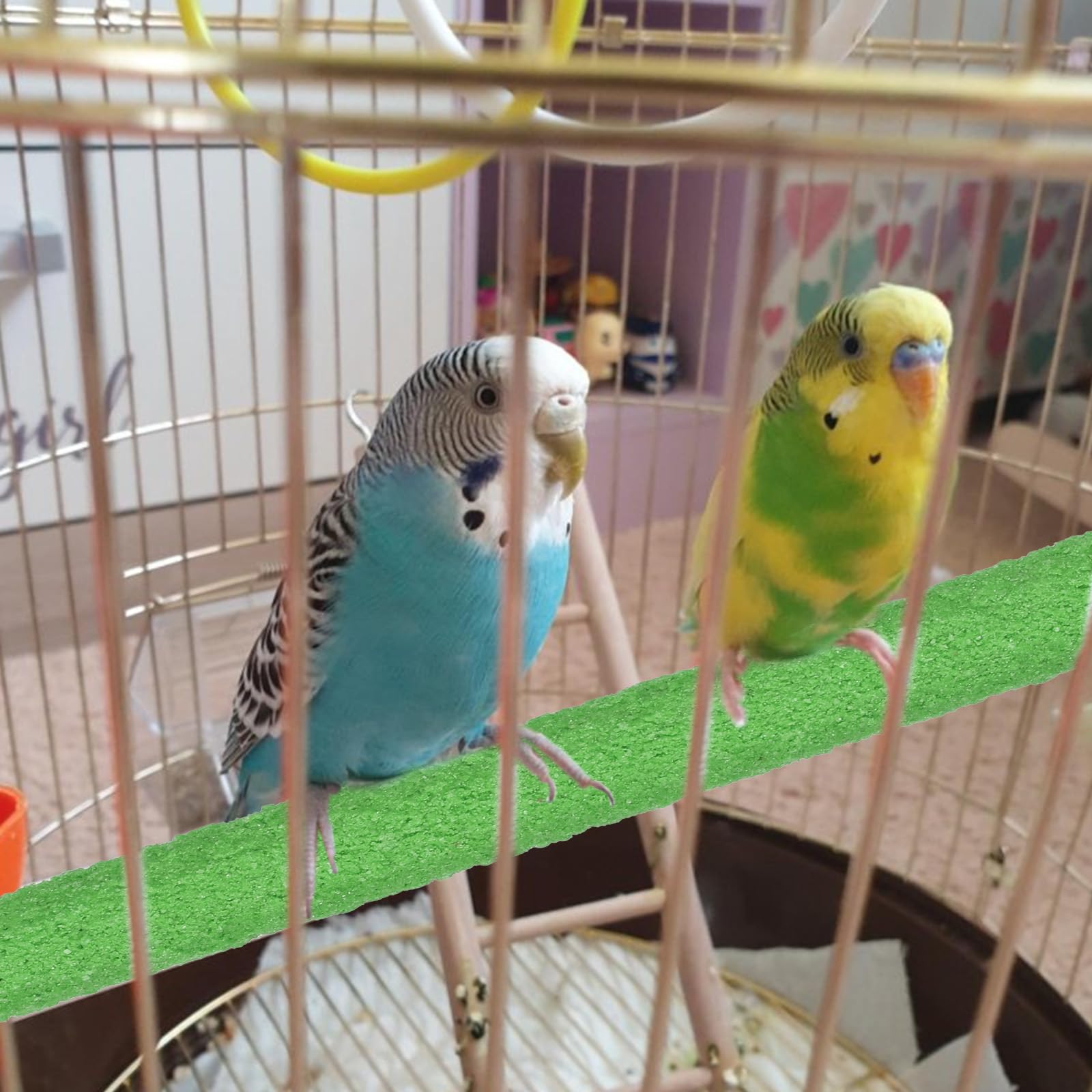 QfwdfcTrenz percha de 15 cm, adecuada para aves pequeñas y medianas.