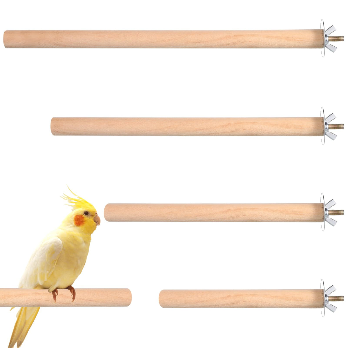 QfwdfcTrenz percha madera natural 10 cm para reposo y ejercicio de patas.