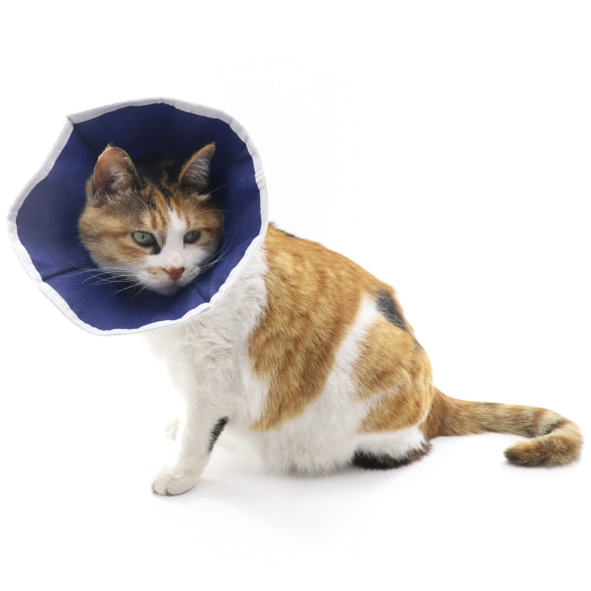 QIYADIN collar suave para gatos, primer plano, comodidad y soporte durante la recuperación.