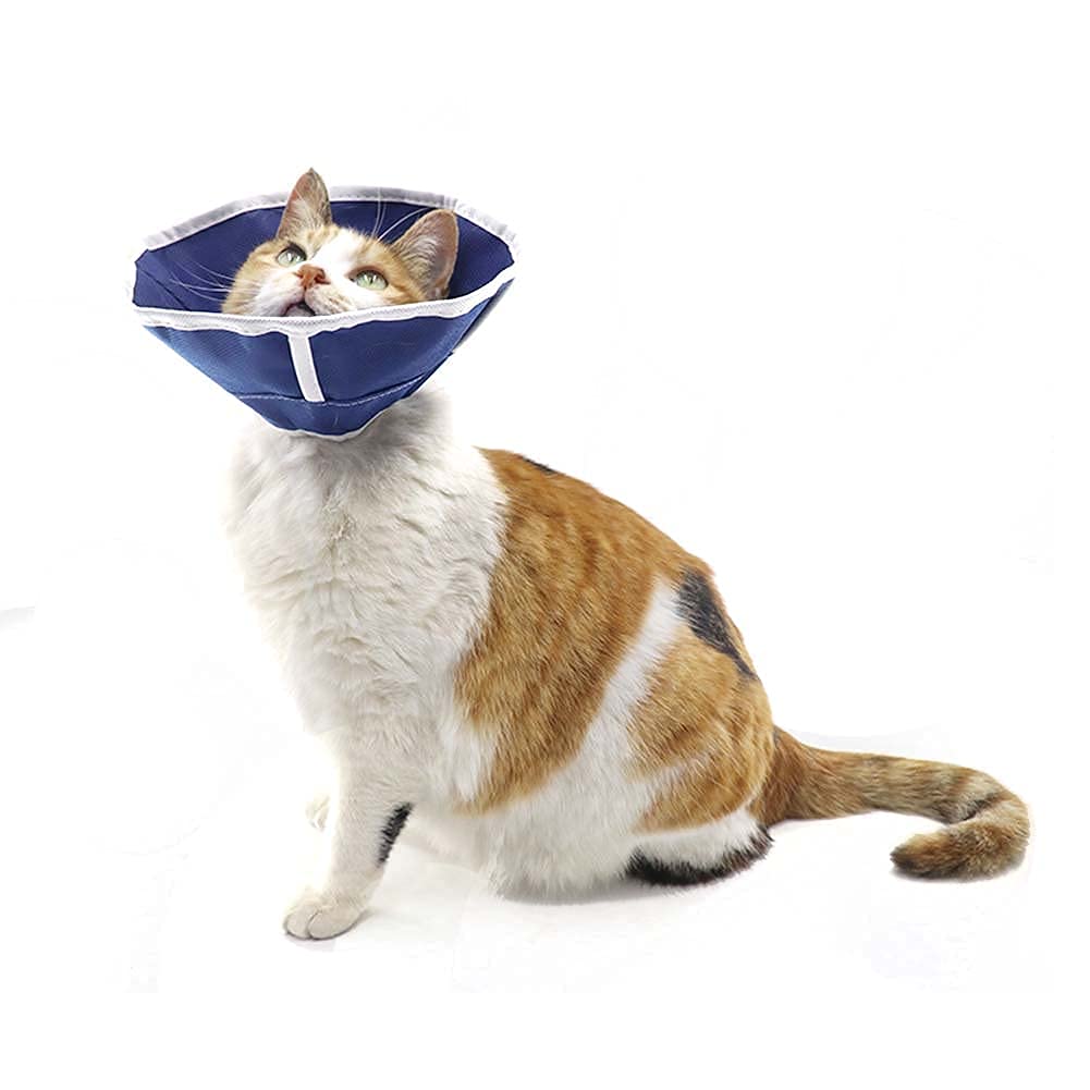 QIYADIN collar para gatos y cachorros, fácil de comer y beber sin obstáculos.