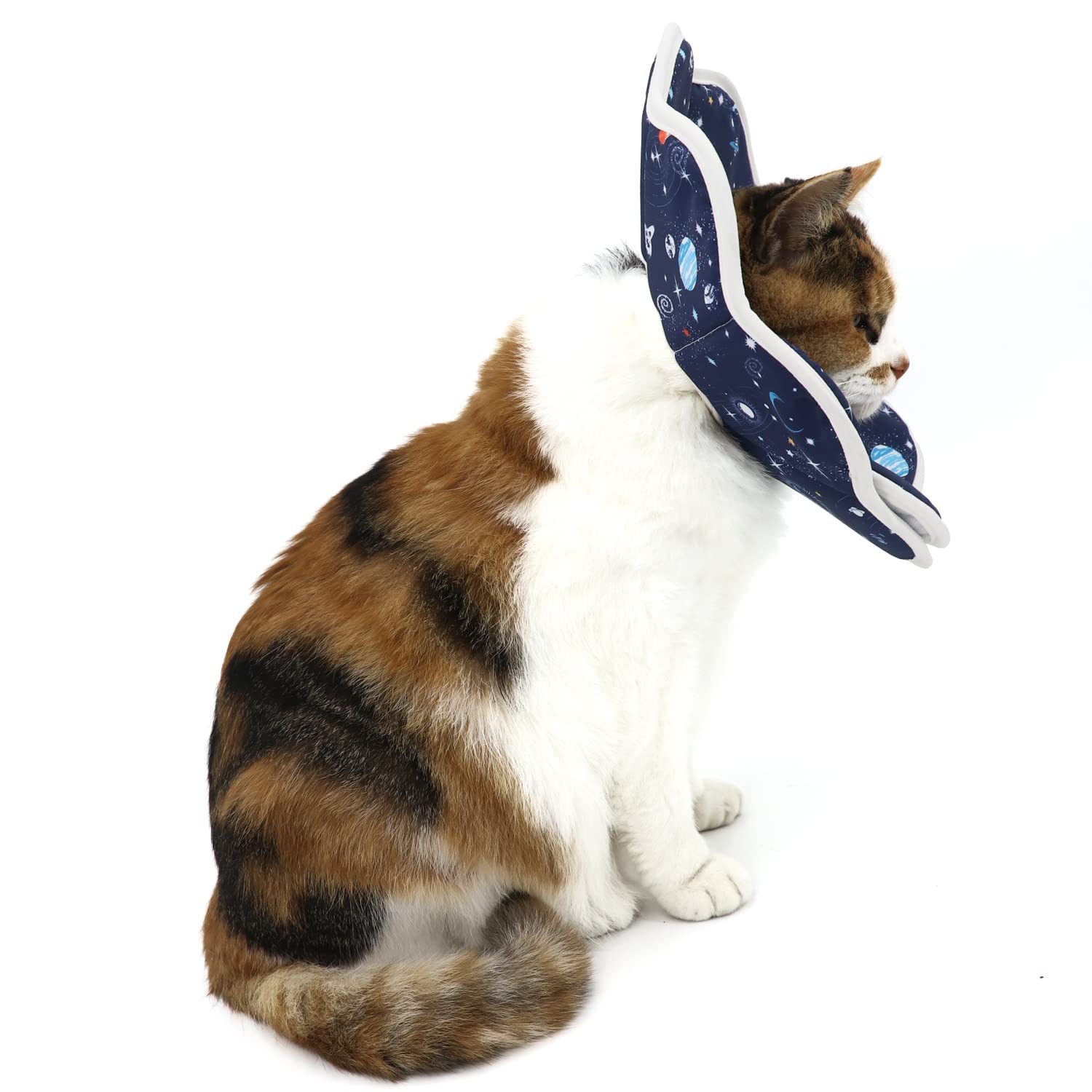 QIYADIN Soft Cat Cone nettoyage facile, tissu imperméable et pratique.