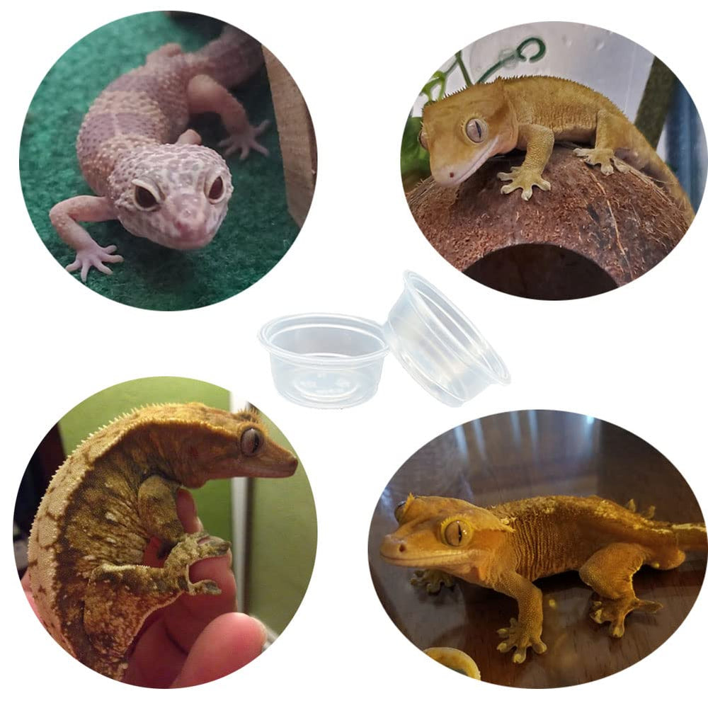 Paquete de 100 vasos, opción económica para varios animales