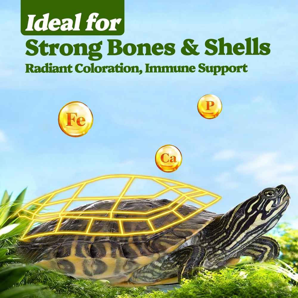 Qiliwiki tortuga tecnología liofilizacion, conserva aroma y nutrientes.