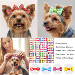 Clip tipo aligator QingHan para perros, asegura moño pequeño sin caerse.