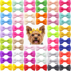 Lazos QingHan para pelo de perro de 2 pulgadas, ideal para cachorros.