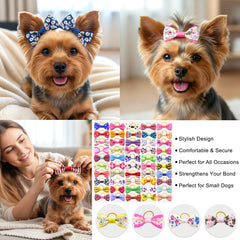 Lazo QingHan para pelo de perro, azul, perfecto para acicalamiento regular