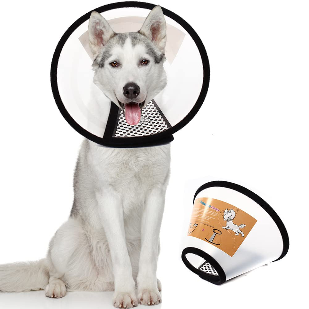 QIYADIN cono de recuperación transparente para mascotas, evita lamidos postoperatorios