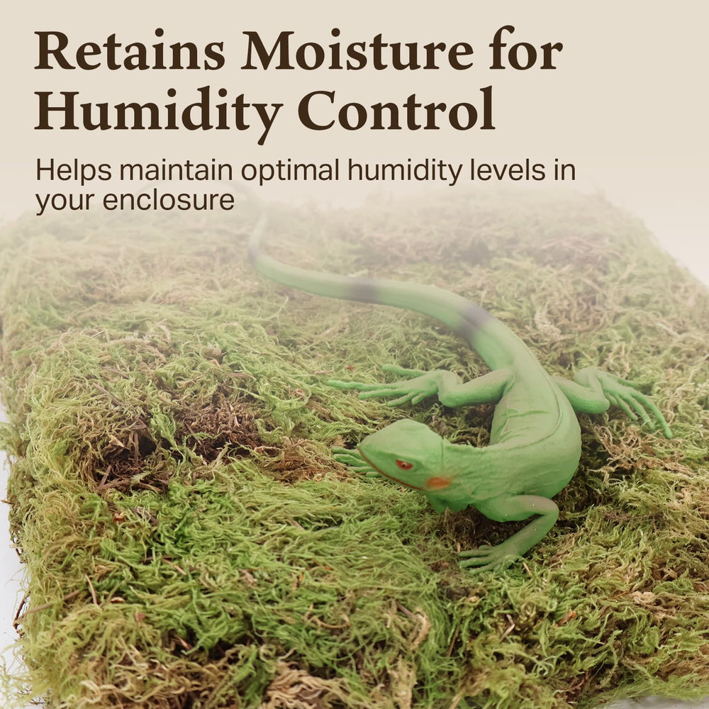 Quality Growers Habitat Life: musgo deco natural para terrarios, ayuda a mantener humedad estable.