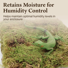 Quality Growers Habitat Life: musgo deco natural para terrarios, ayuda a mantener humedad estable.