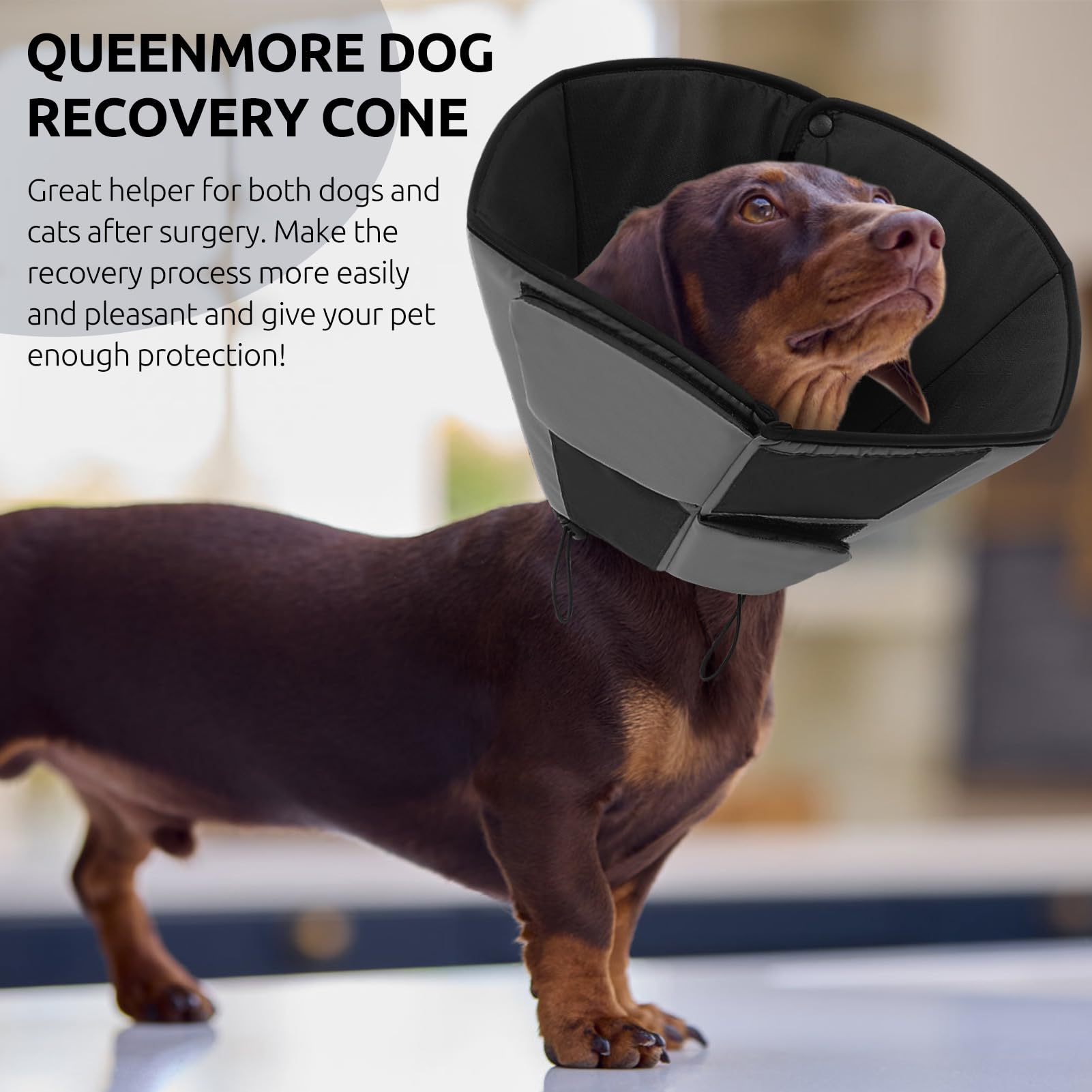 Queenmore cono-perro-xl-ligero mejora movilidad y comodidad del perro