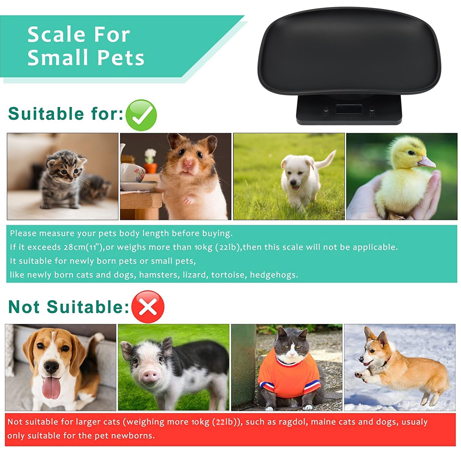 Uso fácil y configuración rápida de la balanza para mascotas Qulable.
