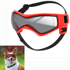 Gafas QUMY para perros con ajuste de correa, cómodo para paseos al aire libre.