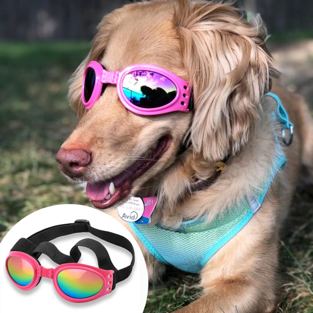 Gafas QUMY para perros anti vaho y polvo para uso diario