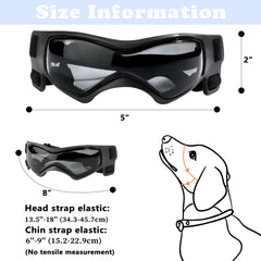Gafas QUMY para perros anti viento y polvo, ideales para paseos al aire libre.