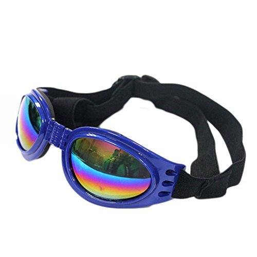 QUMY gafas para perros antivaho para claridad exterior