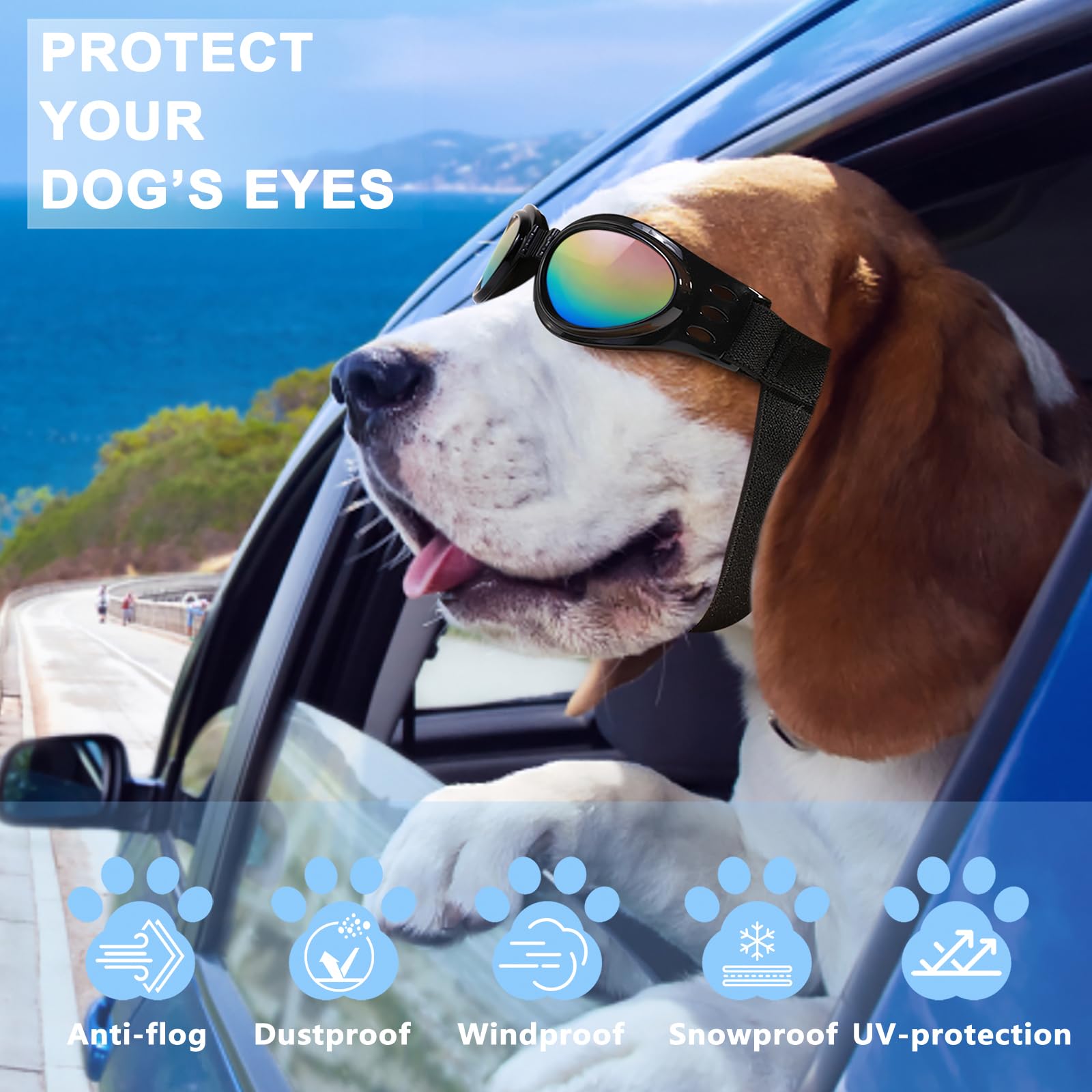 Gafas QUMY para perro con protección contra viento y polvo