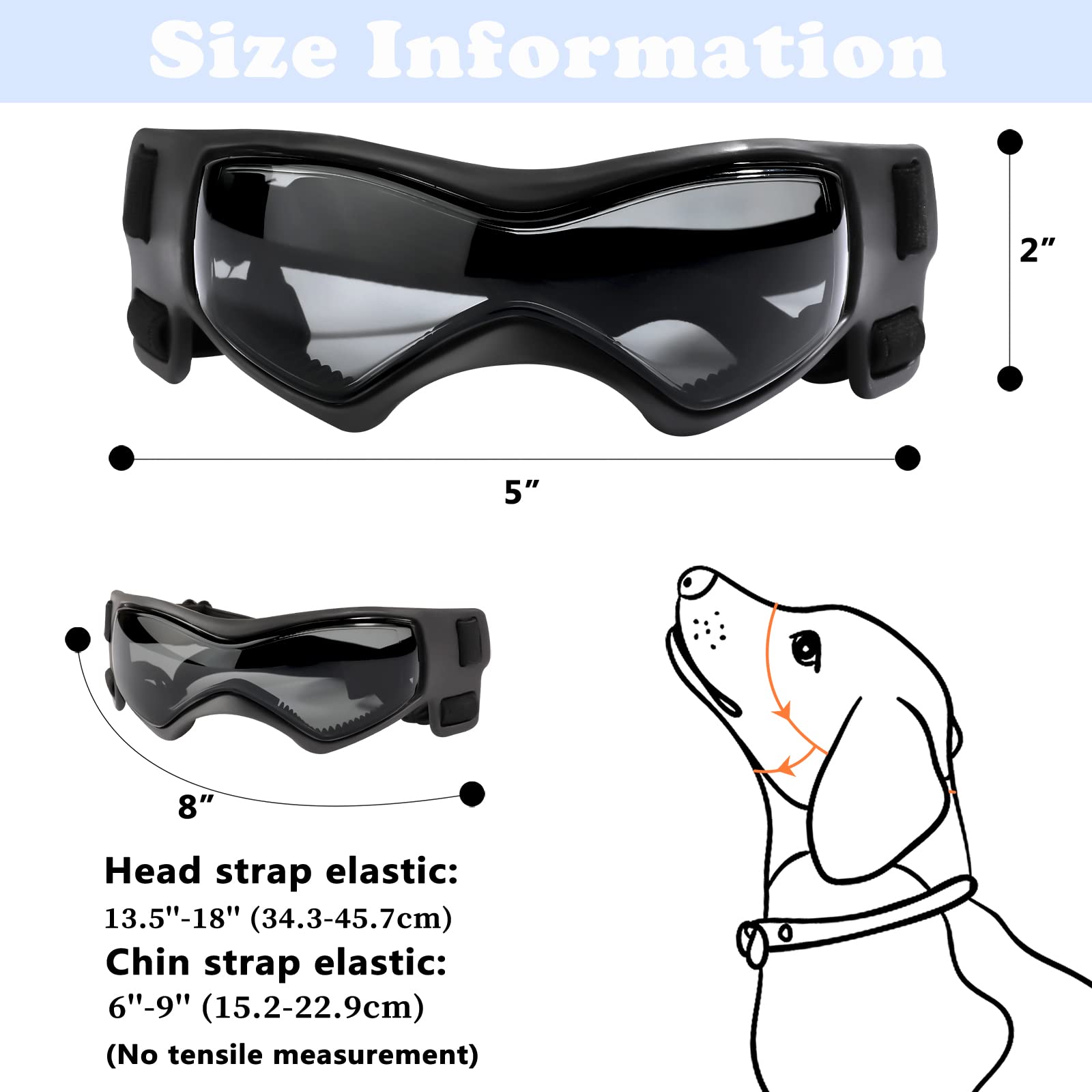 Gafas QUMY para perro protegiendo de viento y polvo durante actividades.