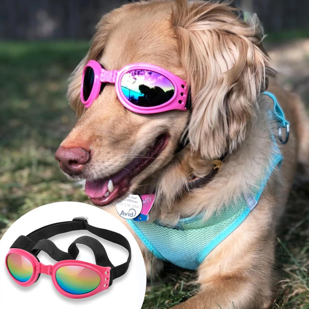 Gafas QUMY para perros uso diario cómodo