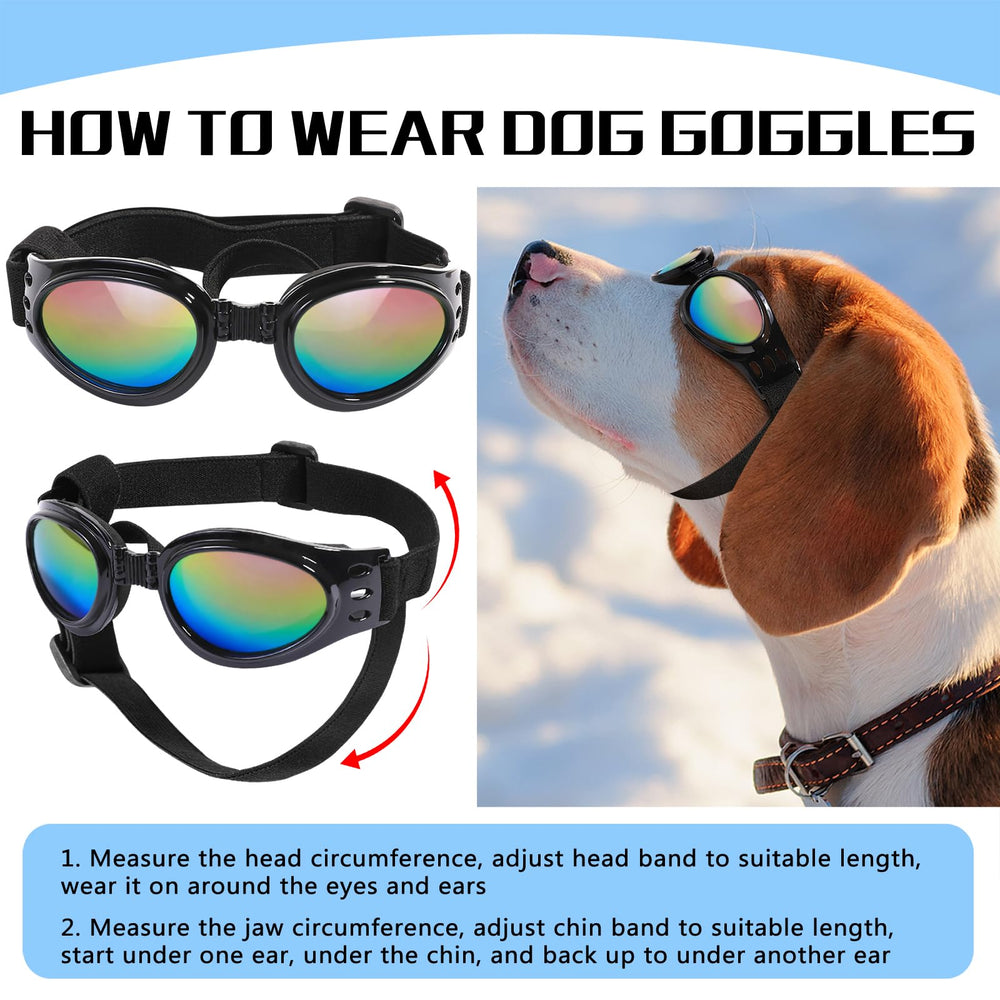 Gafas QUMY para perros ideales para moto y coche