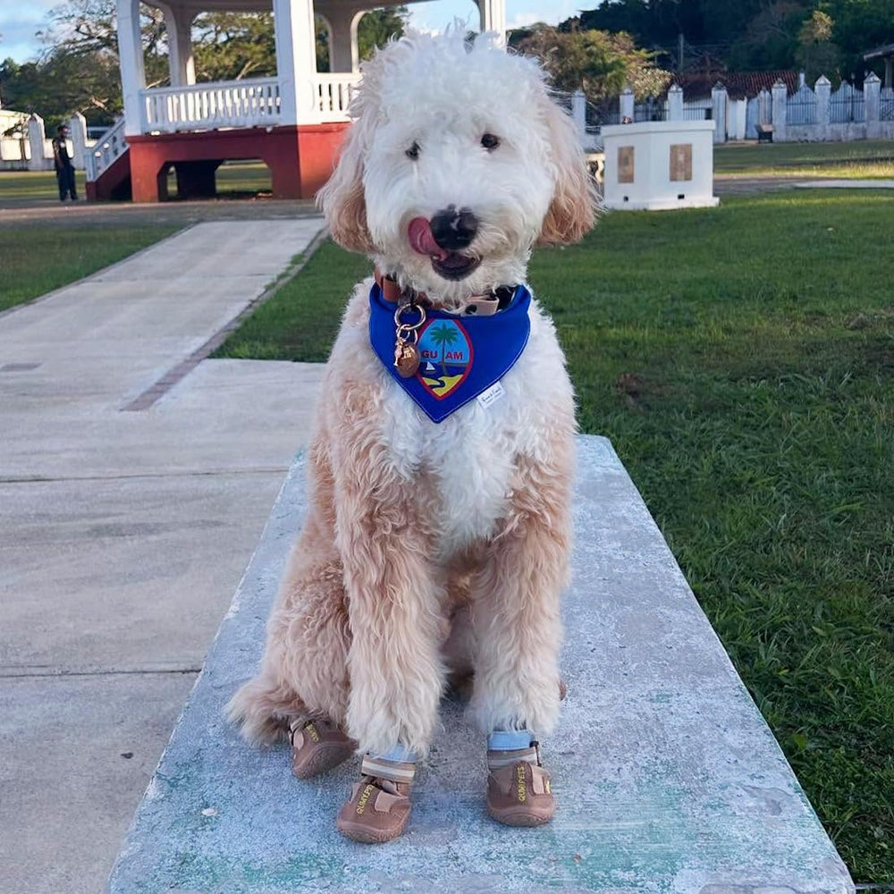 Zapatillas QUMY para perros grandes, interior suave para mayor comodidad.