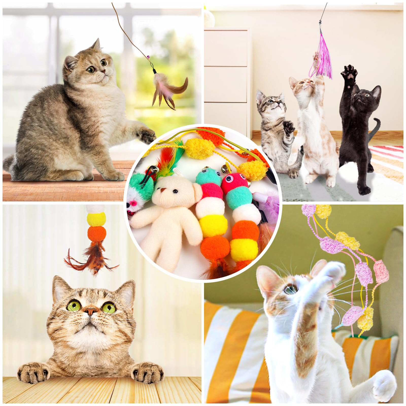 QUOZUO uso seguro y supervisado para ejercitar al gato