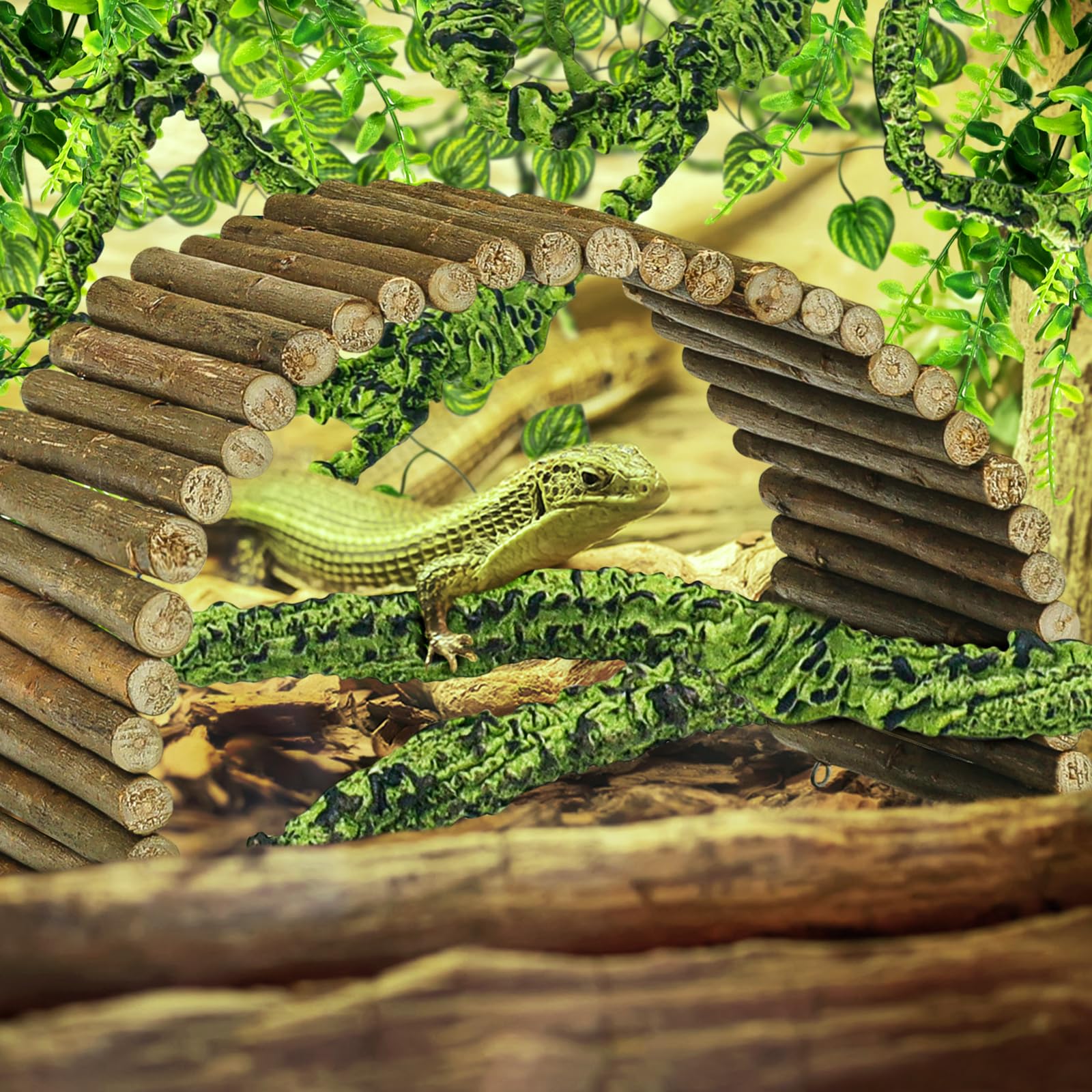 QUOZUO ventosas de sujeción: instalación segura en paredes del terrario.