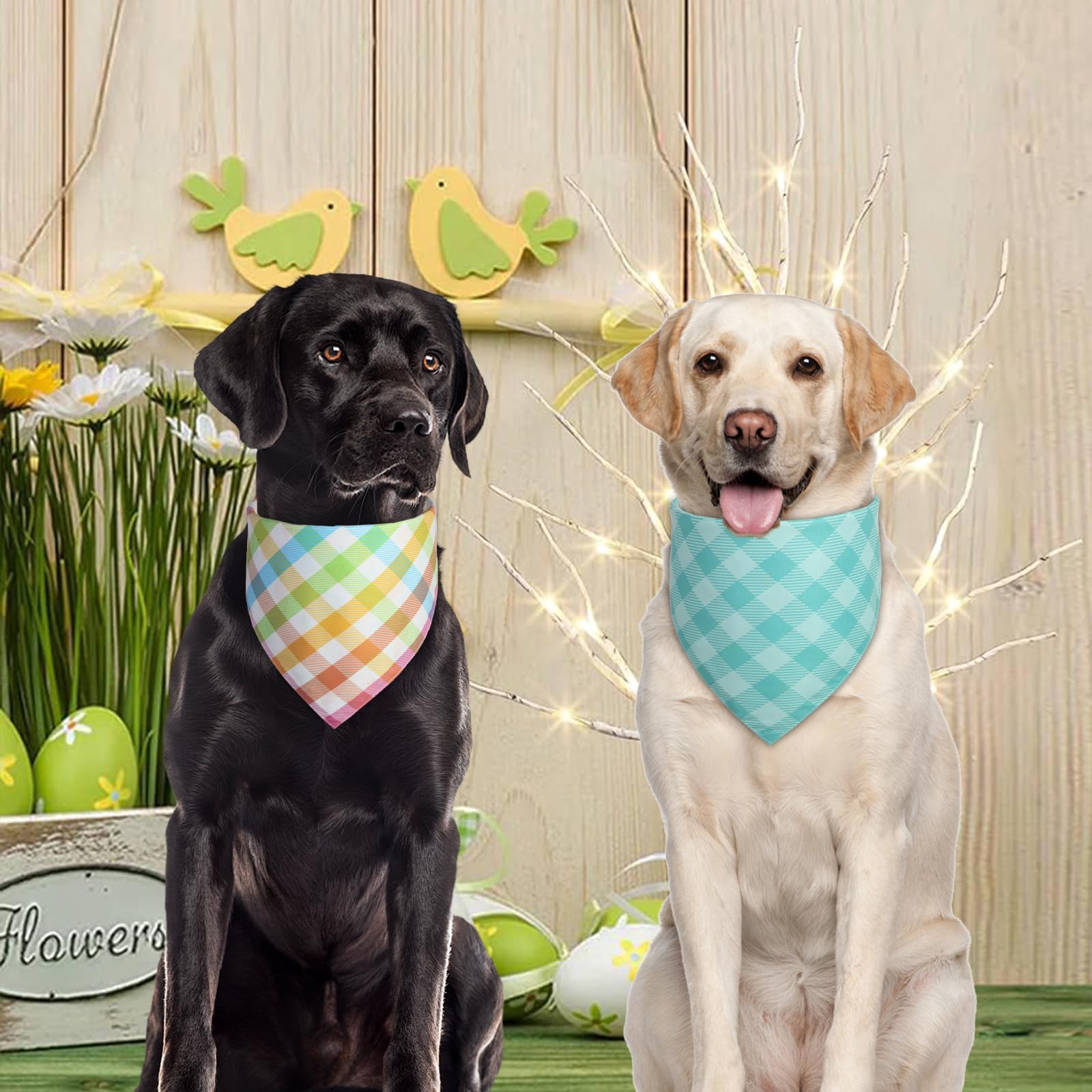 QUQULE 15x21 bandana para perro, tamaño pequeño ideal para cachorros