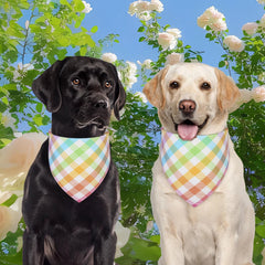 Bandana QUQULE de cuadros coloridos, moda primaveral para cachorros