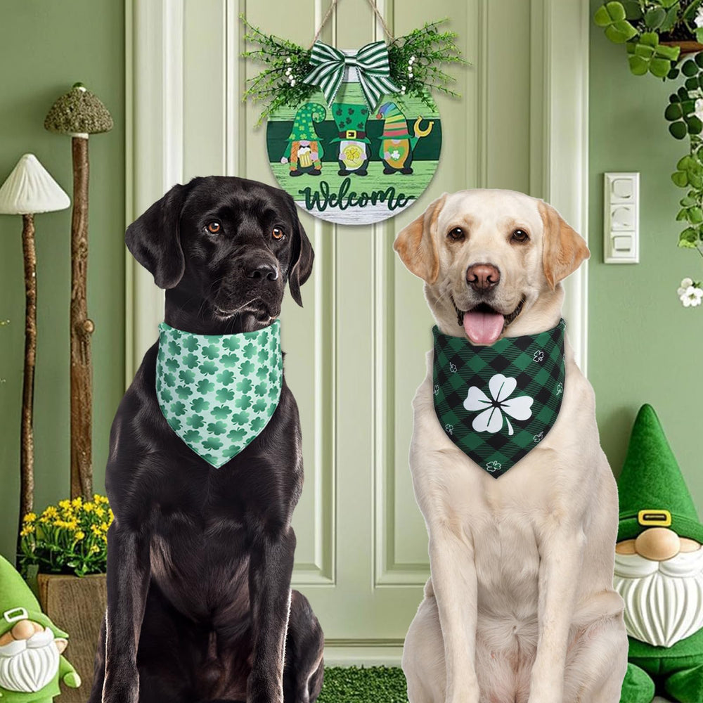 Bandana QUQULE para perro, lavado fácil, lista para su próxima aventura.