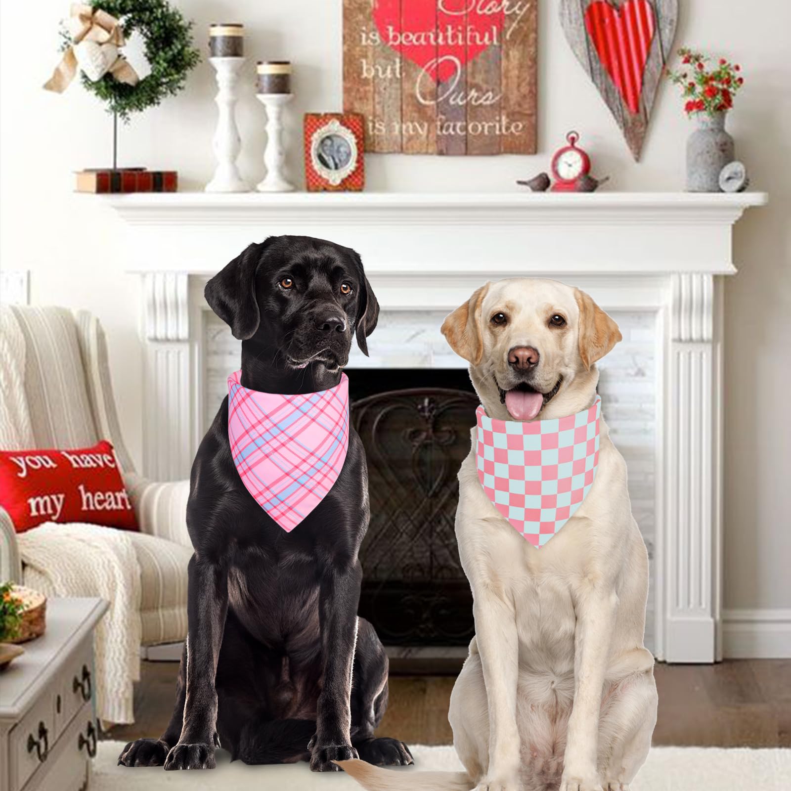 QUQULE bandana para perro, opción lavable, fácil de limpiar entre aventuras.