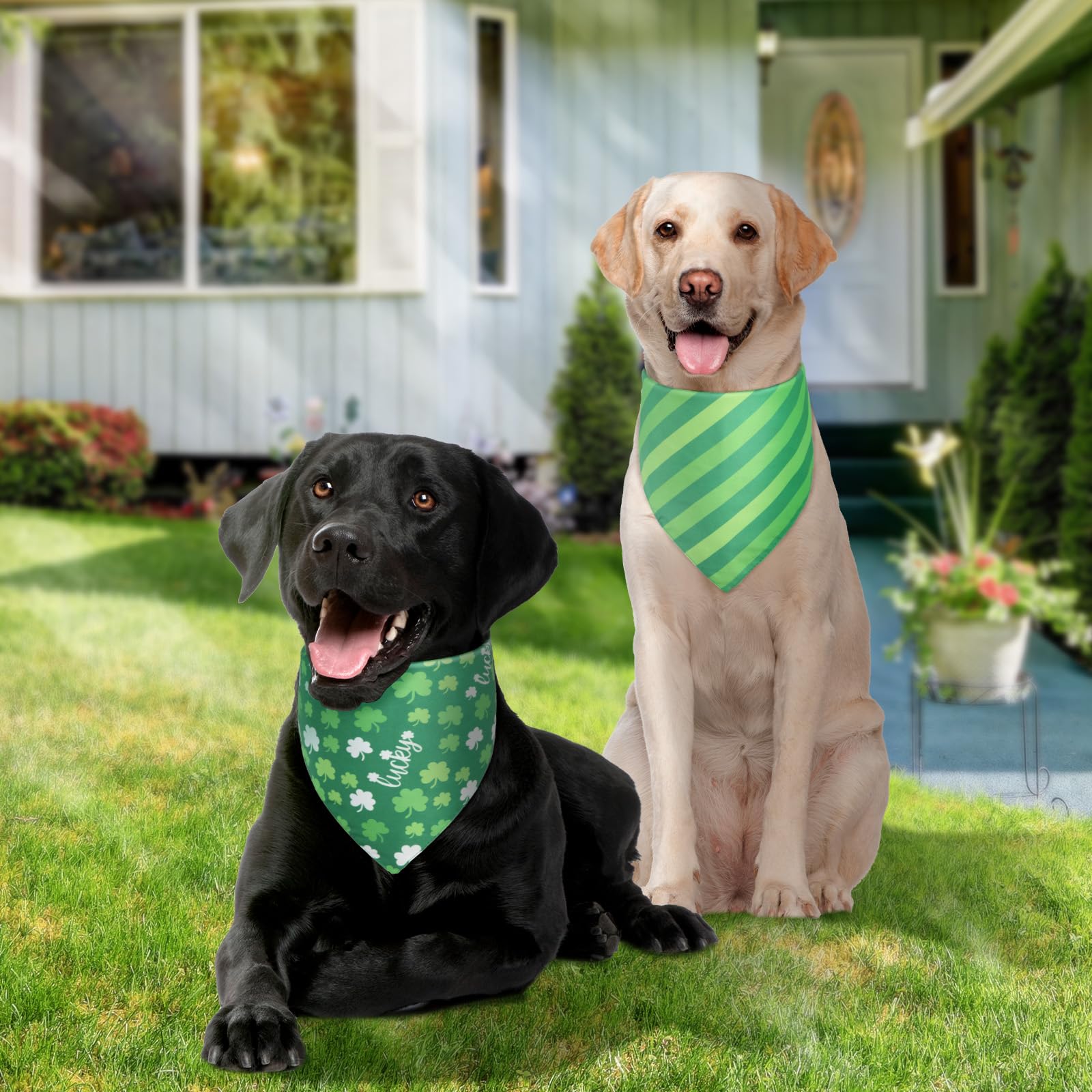 Bandana QUQULE para perro tamaño ajustable, cómodo ajuste para cuellos.