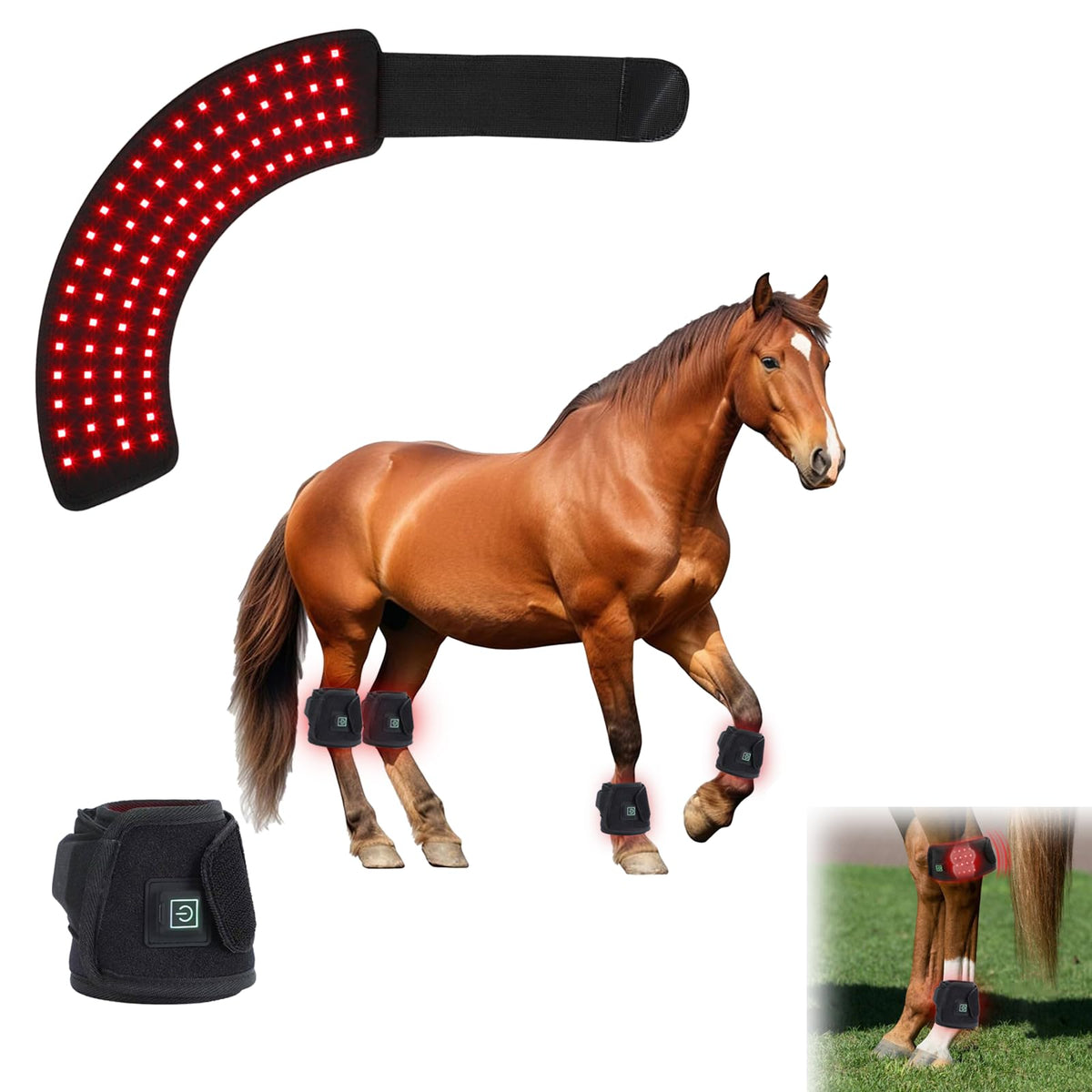 QVIKPMU terapia de luz roja para casco del caballo, favorece recuperación local.
