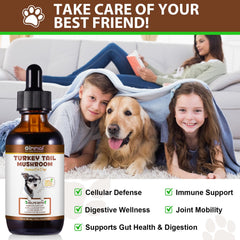 QwsYaay hongo cola de pavo para perros, cúrcuma para movilidad y antioxidantes.
