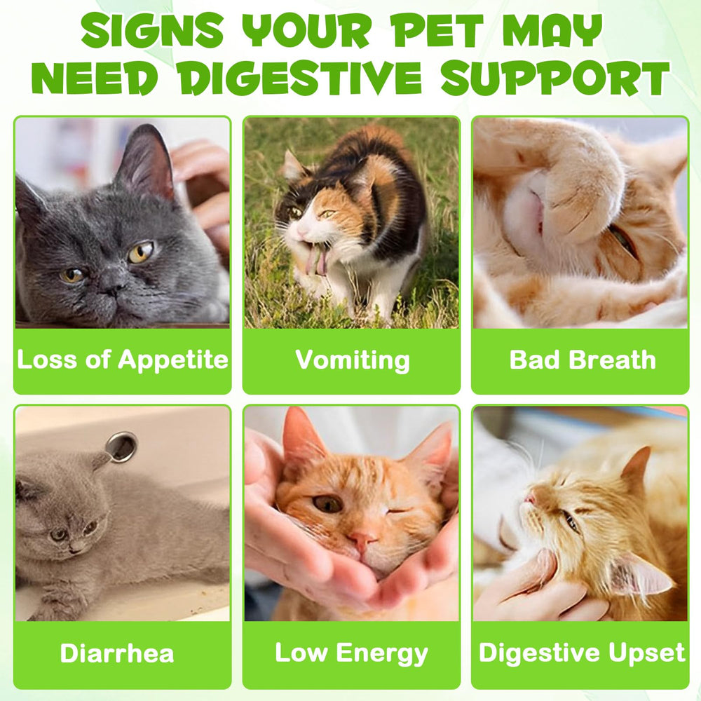 QwsYaay Probiotico para Gatos: formato líquido fácil de mezclar.