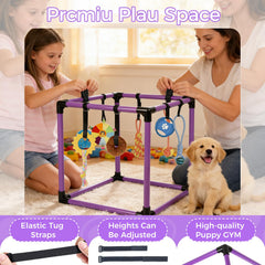 Qyswskj frisbee-perro-dentro: juego activo en interiores para creatividad.