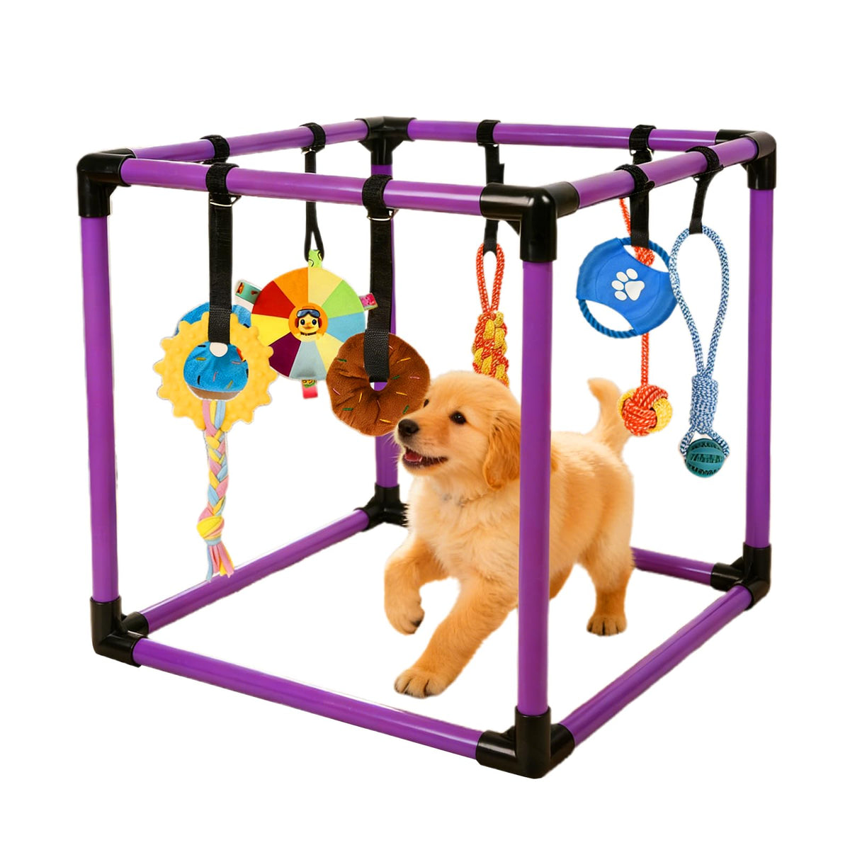 Qyswskj gimnasio-juego-perros-pequenos: espacio seguro para ejercitarse en casa.