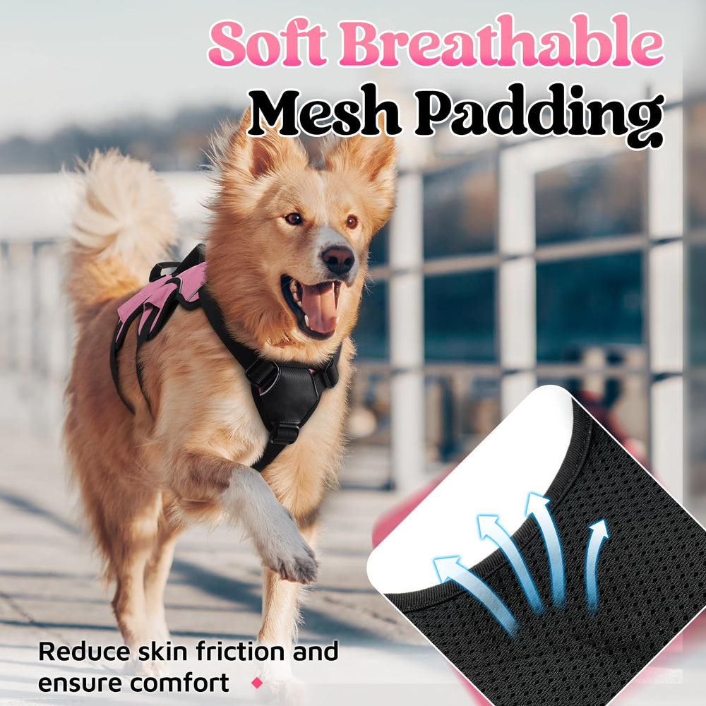 rabbitgoo arnés ajustable en 5 puntos para mejor movilidad