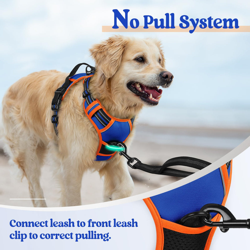 arnés rabbitgoo dos enganches de correa para entrenamiento y paseo diario.