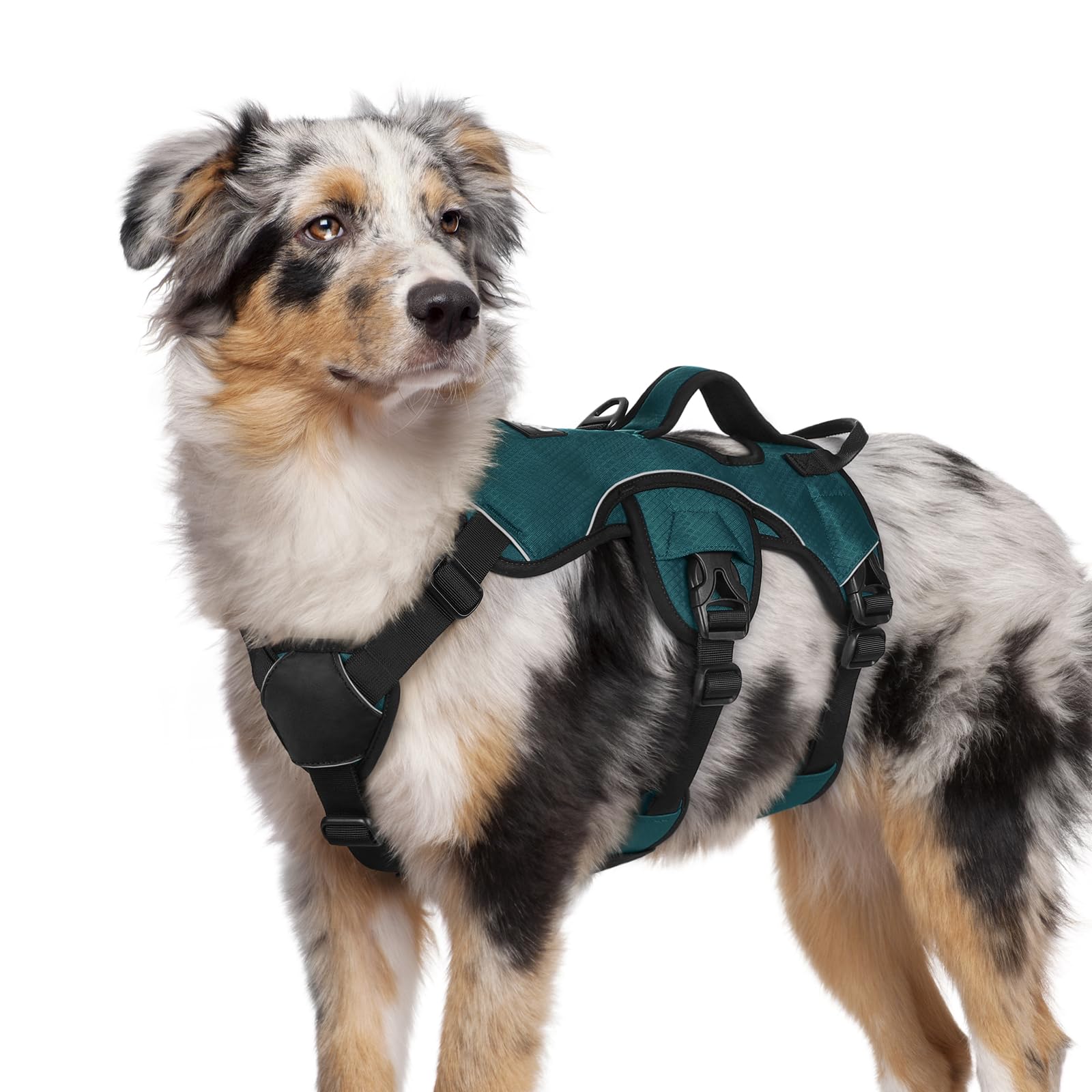 Arnés rabbitgoo anti-escape para perro mediano en verde oscuro, seguridad en paseos.
