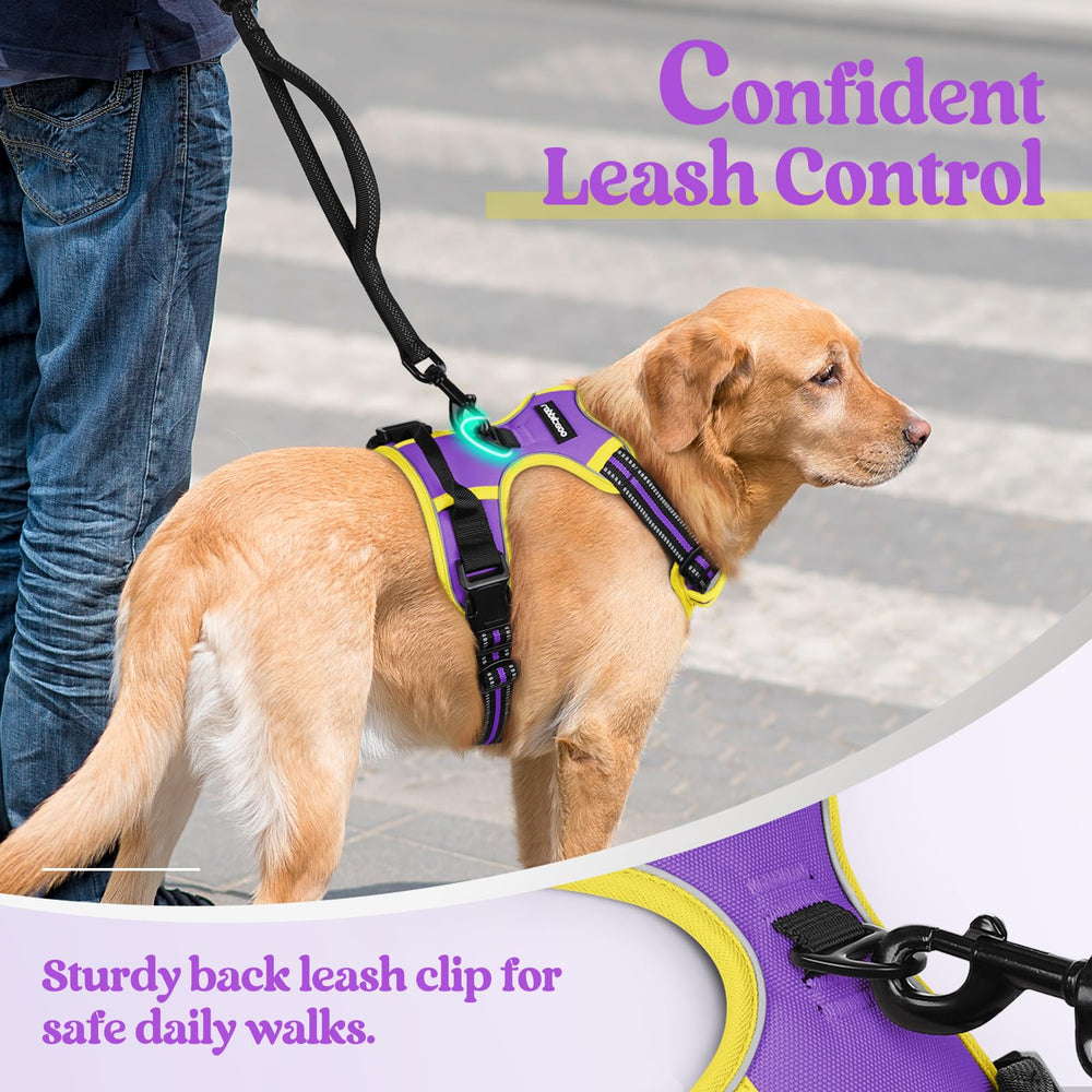 Arnés Rabbitgoo con diseño morado y amarillo para perros grandes.