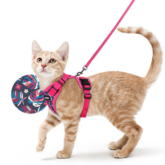 rabbitgoo arnés para gatos con malla transpirable para paseos cómodos