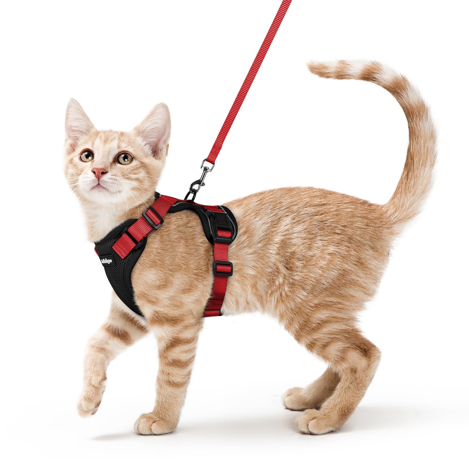 Arnés rabbitgoo para gato con malla de aire, cómodo y transpirable para paseos.