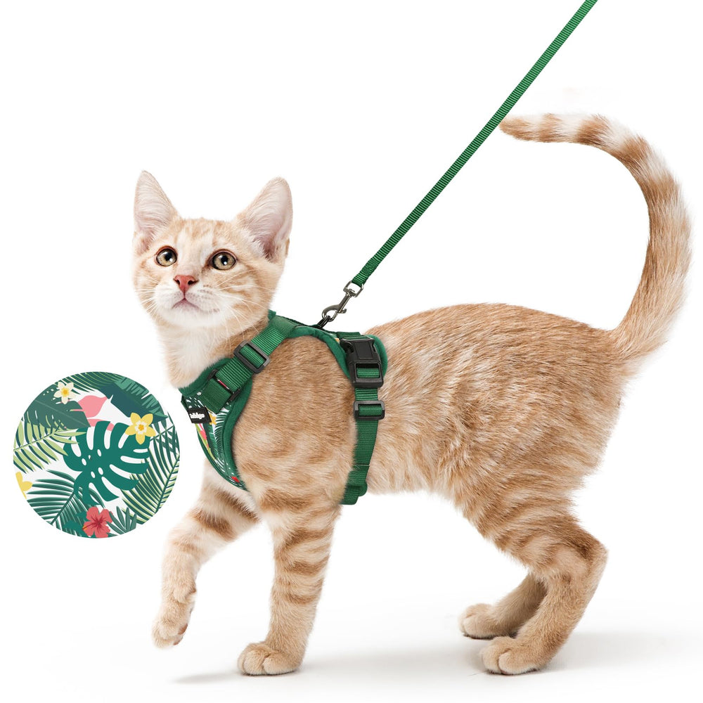 Arnés rabbitgoo para gatos con ajuste cómodo para paseos.