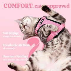 Arnés para gato con ajuste de cuatro cintas para comodidad personalizada.