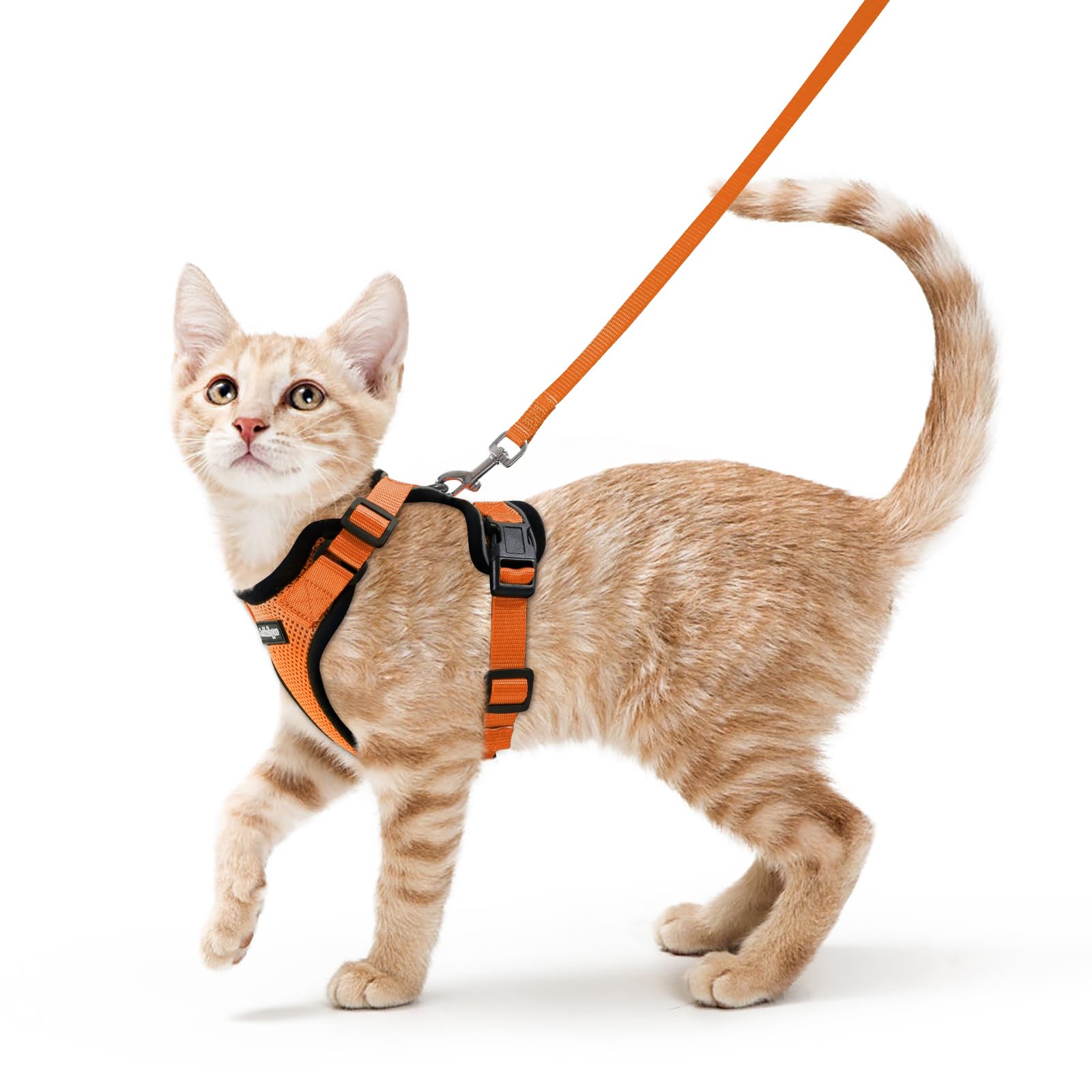 rabbitgoo arnés gato ajuste ergonómico para paseos confortables