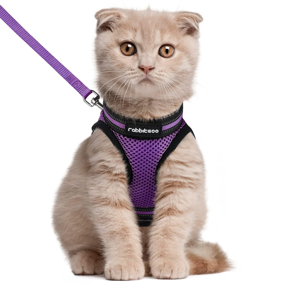 Arnés de rabbitgoo para gato con ajuste preciso para paseos cómodos.