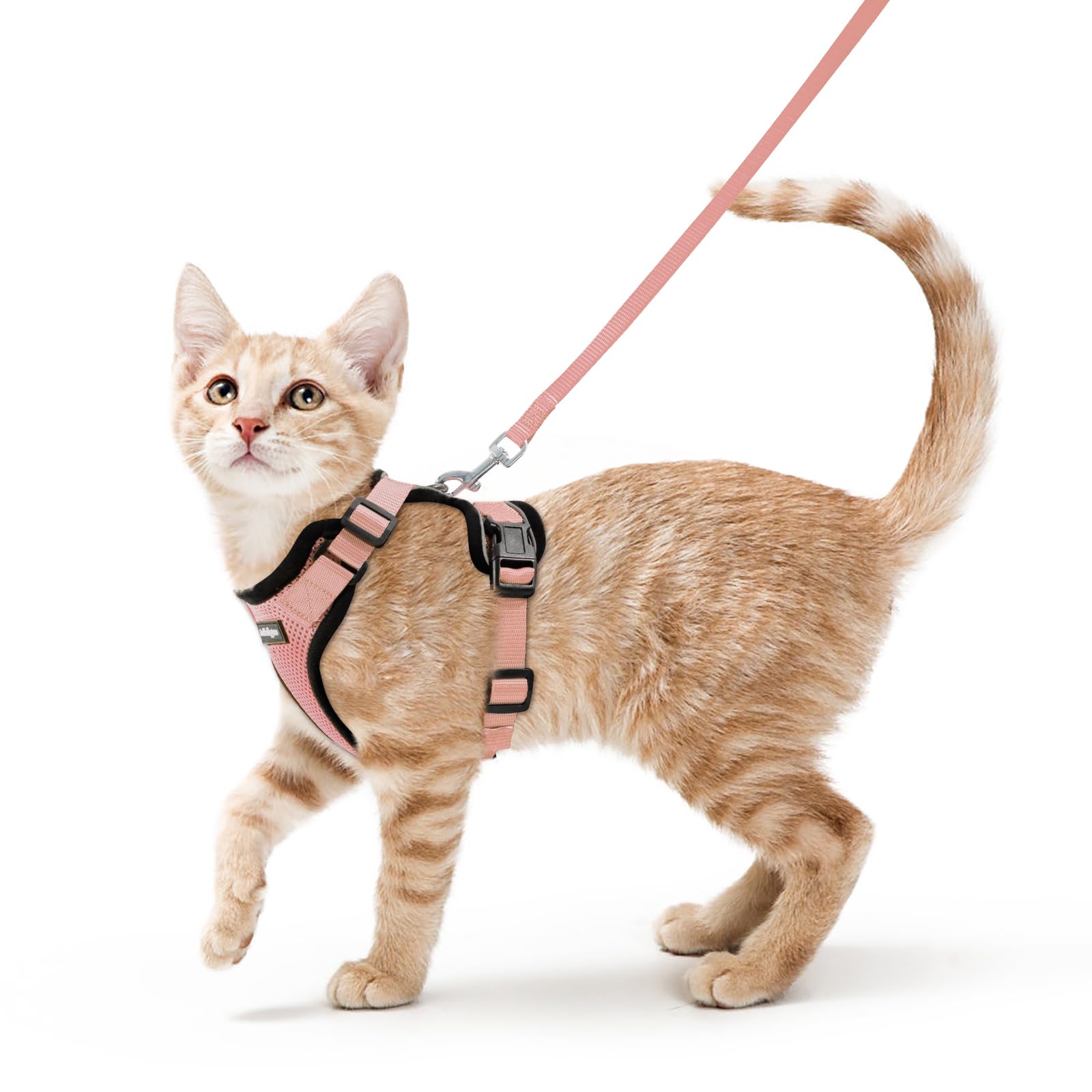 Arnés Rabbitgoo para gato con ajuste cómodo y diseño tipo chaleco