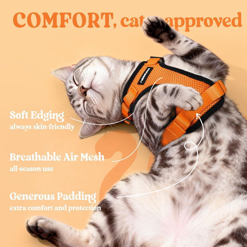 rabbitgoo arnés gato anilla-d-trasera: control fiable para paseos